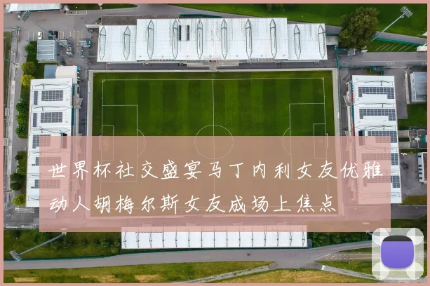世界杯社交盛宴马丁内利女友优雅动人胡梅尔斯女友成场上焦点